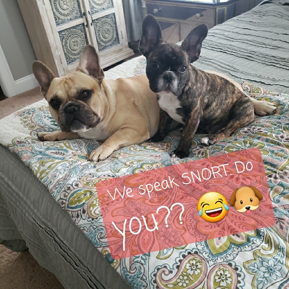 Cute sexy beautiful vintage nwt - Picture 2 of 2